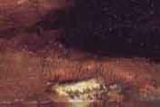 Edouard Manet Un bal a lOpera painting
